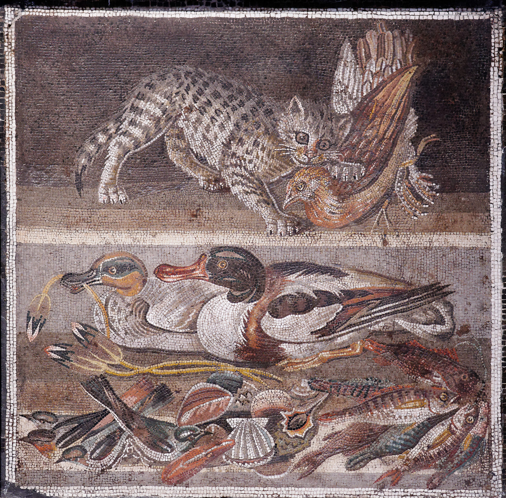 Roman Riding Cat Cats and Weasels - Tales of Times Forgotten